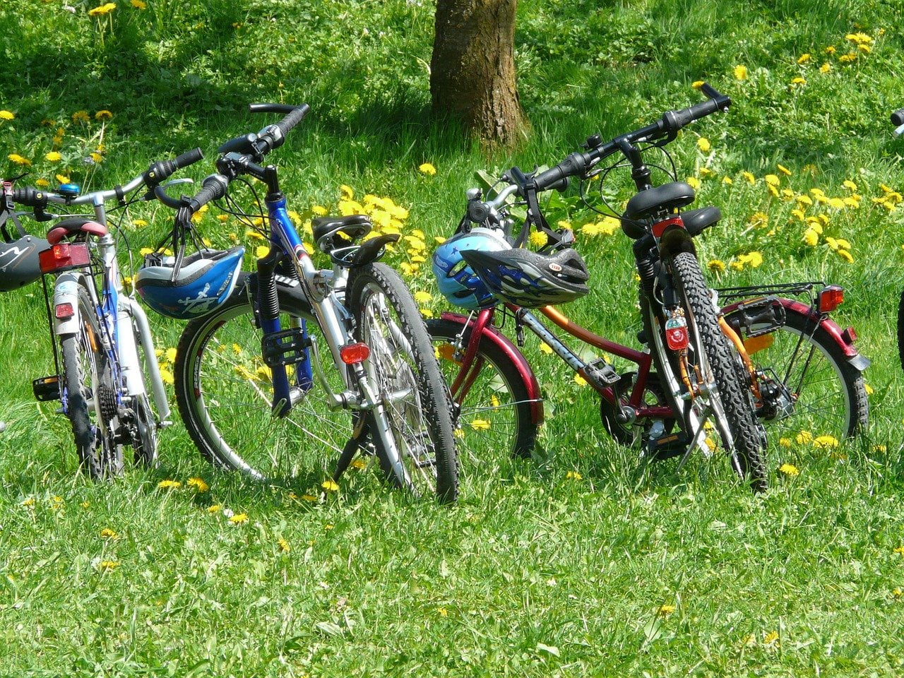 Line of kids mountain bikes in a meadow